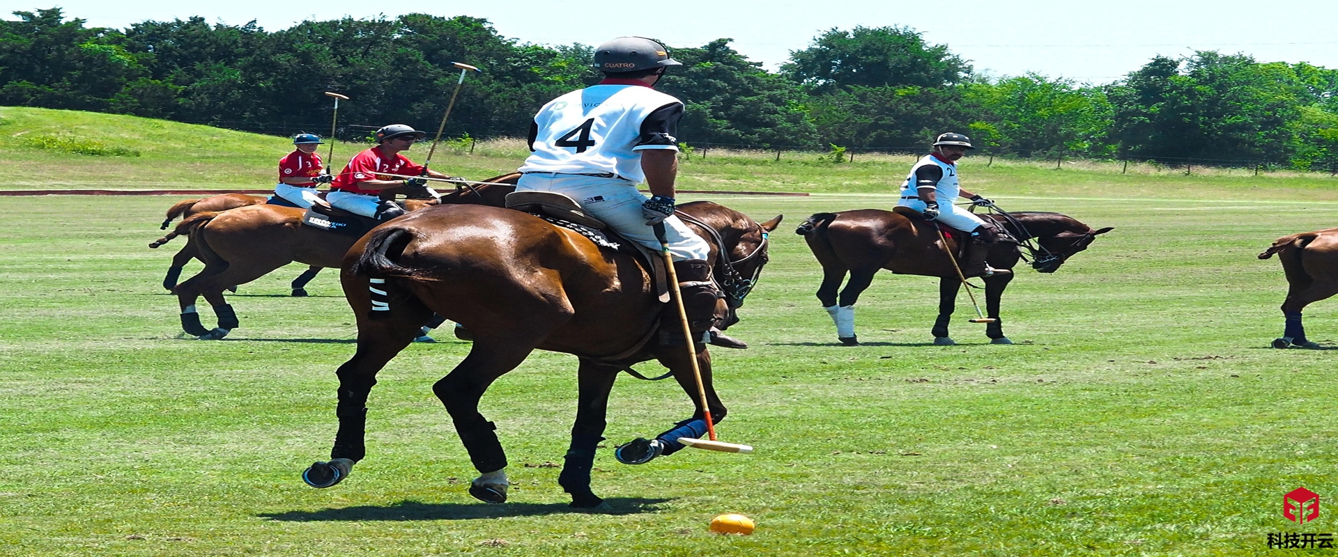 开云体育青少年体育学院_kaiyun足球篮球排球青训