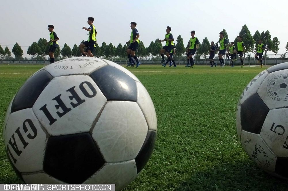 辽宁省足球青训建设办公室开展实地调研助力三级青训体系建设(图1)